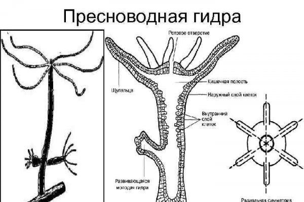 Как зайти на kraken в 2024