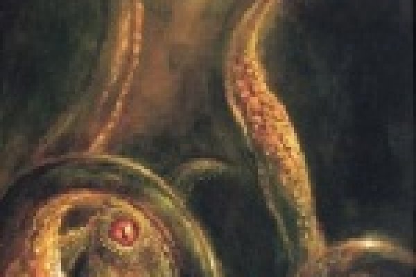 Настоящие зеркала kraken