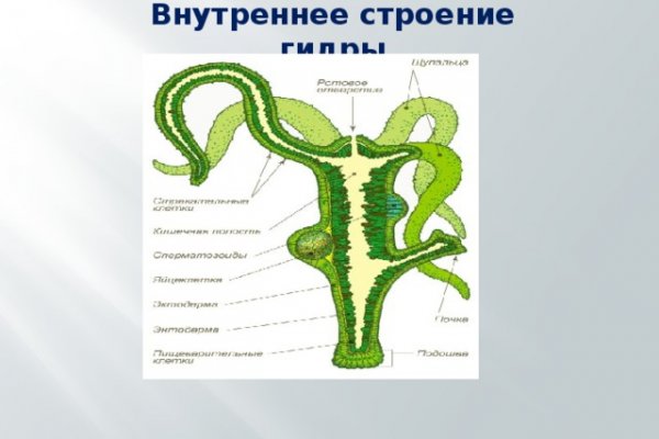 Кракен kr2web in маркетплейс