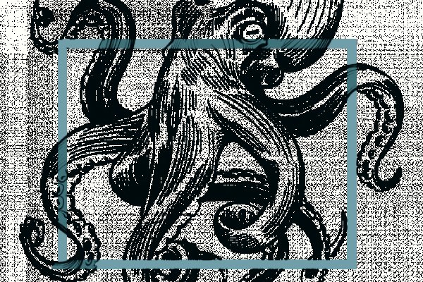 Сайт kraken в tor